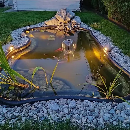 Orchid For 2, Skylight For 2 Kranj