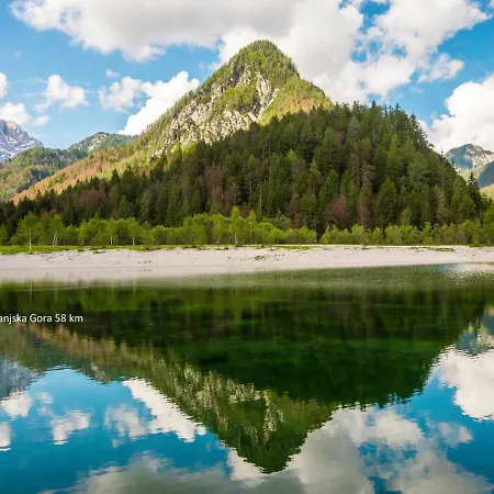 홈스테이 Orchid For 2, Skylight For 2