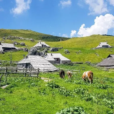 Orchid For 2, Skylight For 2 *