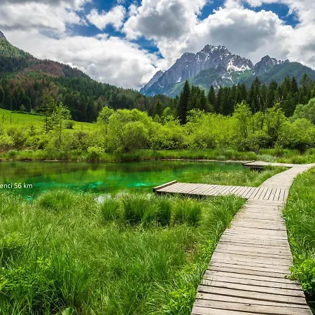 Orchid For 2, Skylight For 2 *