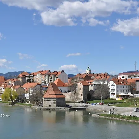 Orchid For 2, Skylight For 2 *