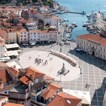 Orchid For 2, Skylight For 2 *