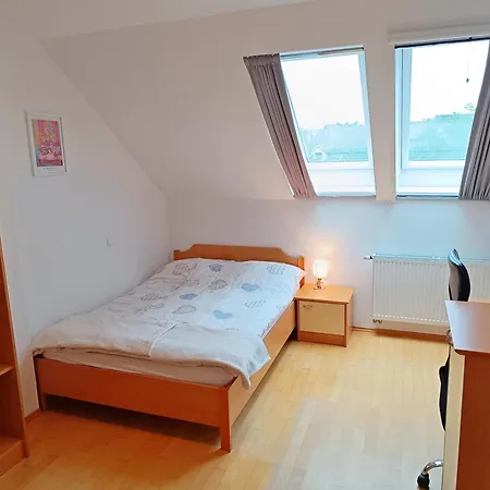 Orchid For 2, Skylight For 2 * 크란