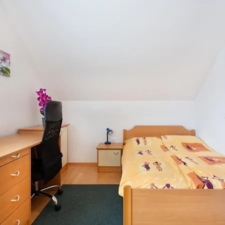 Orchid For 2, Skylight For 2