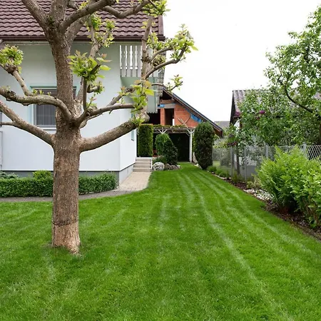 Orchid For 2, Skylight For 2 * Kranj