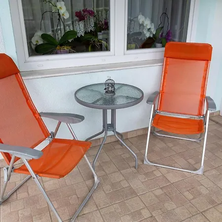 Orchid For 2, Skylight For 2 * Kranj