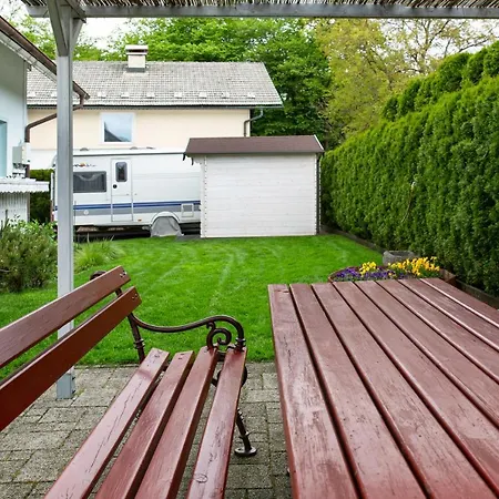 Orchid For 2, Skylight For 2 Kranj