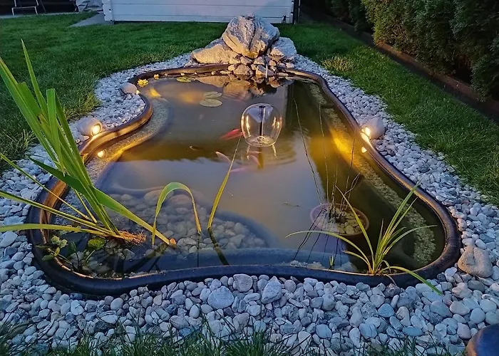 Orchid For 2, Skylight For 2 Kranj