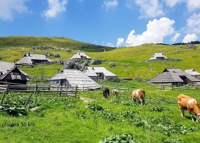 Orchid For 2, Skylight For 2 *