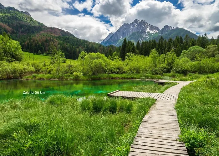 Orchid For 2, Skylight For 2 *