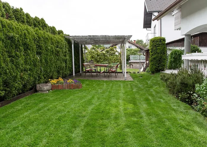 Orchid For 2, Skylight For 2 Kranj