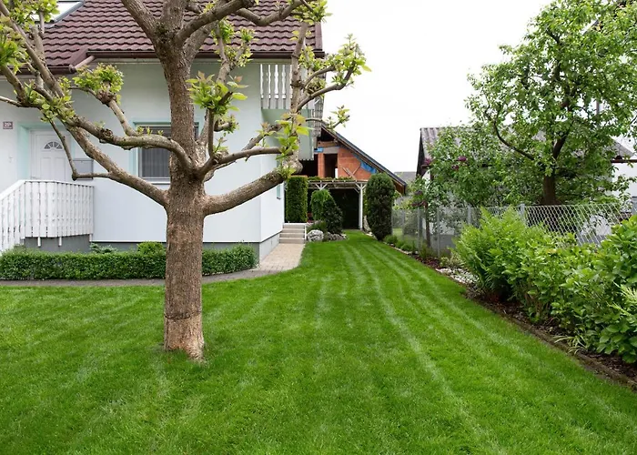 Orchid For 2, Skylight For 2 * Kranj