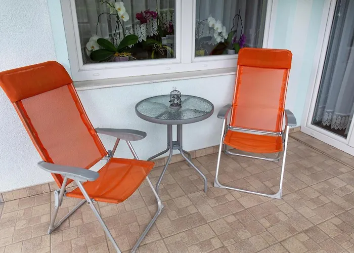 Orchid For 2, Skylight For 2 * Kranj