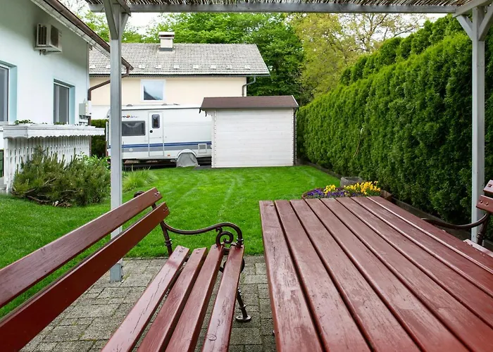 Orchid For 2, Skylight For 2 Kranj