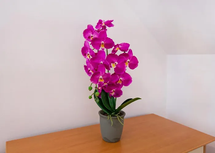 Orchid For 2, Skylight For 2 Ubytování v soukromí Kranj